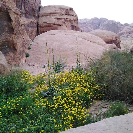 Welcome To Wadi Rum Camp Exterior foto